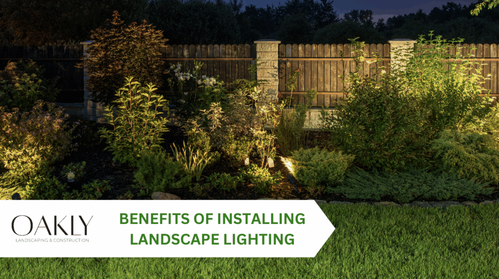How Landscape Lighting Can Transform Your Outdoor Space